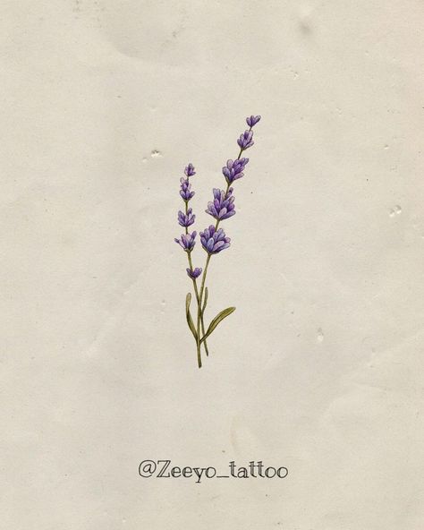 Butterfly On Lavender Tattoo, Lavender Tattoo Black Outline, Lavender Tattoo Forearm, Lavender Sprigs Tattoo, Vervain Tattoo, Lavender Line Art, Lavender Tattoos, Flower Tattoos Ideas, Lilac Tattoo