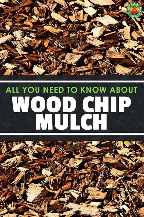 Wood Chip Landscaping Ideas, Wood Chip Garden Path, Wood Chippings Garden Ideas, Woodchips Garden Landscaping, Bark Chips Landscaping, Landscaping With Wood Chips, Cedar Chips Landscaping, Woodchips Garden Ideas, Wood Chip Landscaping