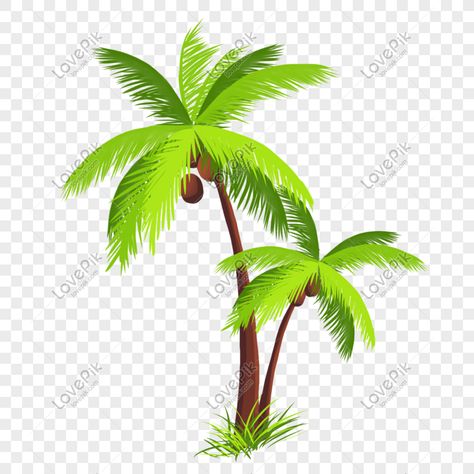 Coconut Tree, Plant Leaves, Coconut, How To Draw Hands, Plants