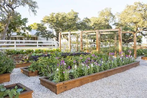 Joanna Gaines Garden, Joanna Gaines Farmhouse, Farmhouse Garden, Chip And Joanna Gaines, Cut Flower Garden, Family Garden, Have Inspiration, Garden Photos, Garden Boxes