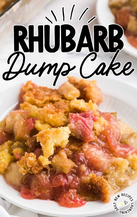 Rhubarb Dump Cake, Springtime Desserts, Easy Rhubarb Recipes, Fruit Deserts, Rhubarb Desserts Recipes, Rhubarb Dump Cakes, Rhubarb Cake Recipes, Cherry Oatmeal, Delish Cakes