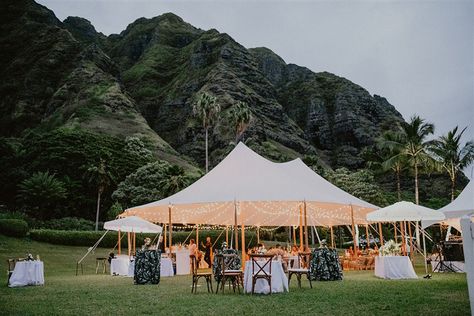 Kualoa Ranch Wedding Paliku, Paliku Gardens Wedding, Hawaii Wedding Venues, Bamboo Arbor, Kualoa Ranch Wedding, Paliku Gardens, Hawaiian Weddings, Venue Business, Oahu Wedding Venues