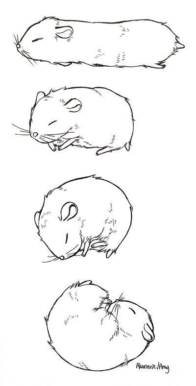 Drawing Of Hamster, Hamster Outline Tattoo, Hamster Memorial Tattoo, How To Draw A Hamster, Hamster Tattoo Minimalist, Sleepy Hamster, Hamster Doodle, Hamster Tattoo, Hamster Drawing