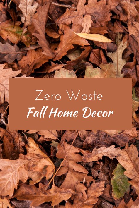 Minimal Fall Decor, Minimalist Fall Decor, Natural Fall Decor, Fall Home Decor Ideas, Fall Front Porch Decor Ideas, Repurposed Decor, Cozy Fall Decor, Fall Decor Ideas, Eco Friendly Decor