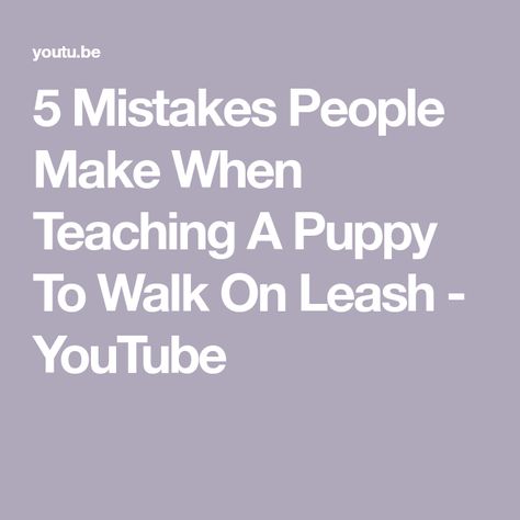 5 Mistakes People Make When Teaching A Puppy To Walk On Leash - YouTube Aussie Puppies, A Puppy, Puppy Training, The Real World, Walk On, Encouragement, Walking, Puppies, Dogs