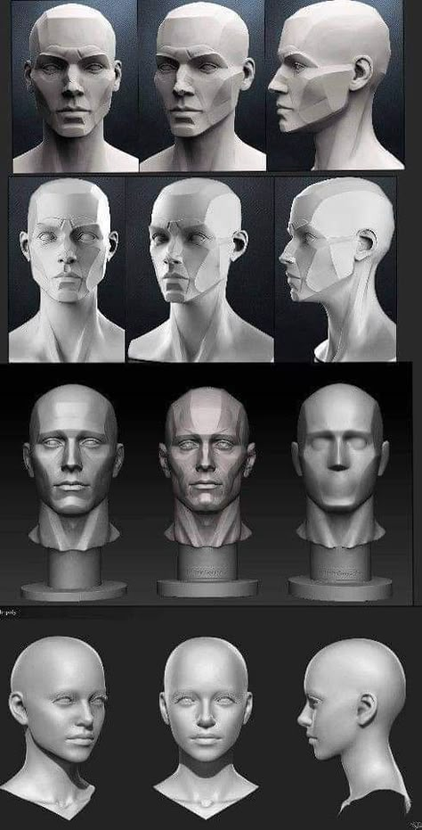 Design A Character, Designing Characters, Planes Of The Face, Head Anatomy, Face Anatomy, Figurative Kunst, Anatomy Sculpture, 얼굴 드로잉, 얼굴 그리기