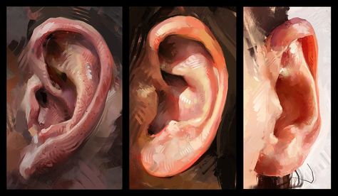 I'm all ears by AaronGriffinArt on DeviantArt Aaron Griffin, Colour Study, Ear Art, Digital Painting Tutorials, Color Studies, Traditional Paintings, Anatomy Art, Digital Art Tutorial, Funky Art