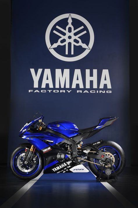 Gallery: The R6 Yamaha Displayed At EICMA Tells You What A Race-Prepped 2017 R6 Will Look Like | Cycle World Yamaha R6 2017, R15 Yamaha, Yamaha Logo, Yamaha Motocross, Motos Yamaha, Moto Yamaha, Image Moto, Мотоциклы Cafe Racers, Yamaha Bikes