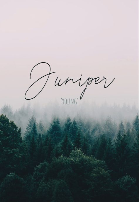 Juniper Name Meaning, Juniper Name, Name Meaning, Unique Words, Names With Meaning, With Meaning, Baby Name, Juno