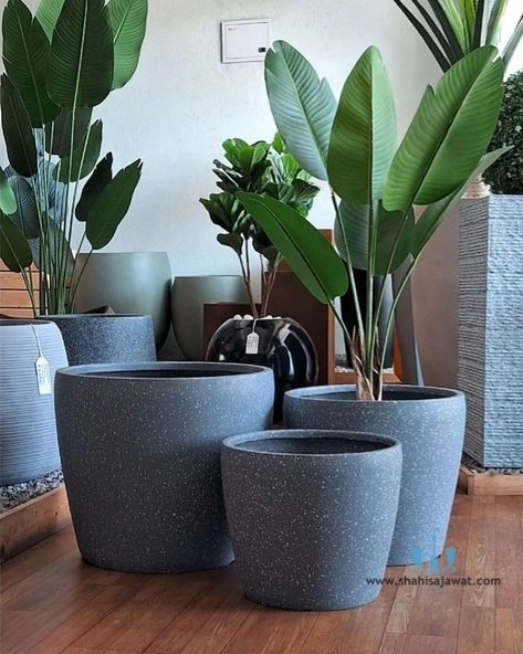 The Modern Tapering Bowl Shaped FRP Planter With Its Handcrafted Stone Finished Body Adds A Unique And Minimalistic Touch To Any Spaces. Showcase Your Favorite Plants In Style And Bring A Touch Of Natural Charm To Your Interior. Using Fiberglass Planters In Your Plantscaping Designs Is A Great Way To Enhance The Beauty Of Any Indoor Or Outdoor Landscape. Their Durable, Commercial Grade Construction And Vast Color Choices Make Fiberglass Plant Containers An Interiorscape And Exterior Landscapi... Plant Containers, Fiberglass Planters, Outdoor Landscape, Outdoor Landscaping, Container Plants, Color Choices, Bowl, Exterior, Stone