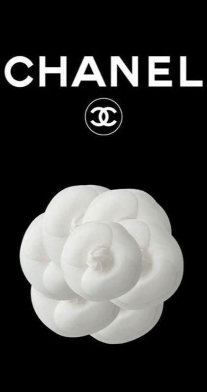 From the Lady of the Camellias to the lapel flower from the dandy, the camellia is Chanel's quintessential flower and the most beloved in fashion history. A symbol of the rue Cambon Maison used in its founder's creations since 1923. Lady Of The Camellias, Chanel Camellia Flower, Chanel Camellia, Lapel Flower, Camellia Flower, A Symbol, The Lady, Fashion History, Dandy