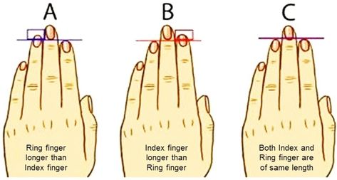 WHAT DOES YOUR FINGER SAY ABOUT YOU? | Glenn Lim Finger Length Meaning, Finger Meaning, Small Wave Tattoo, Physical Characteristics, Small Tattoos With Meaning, Index Finger Rings, Waves Tattoo, Good Listener, Index Finger