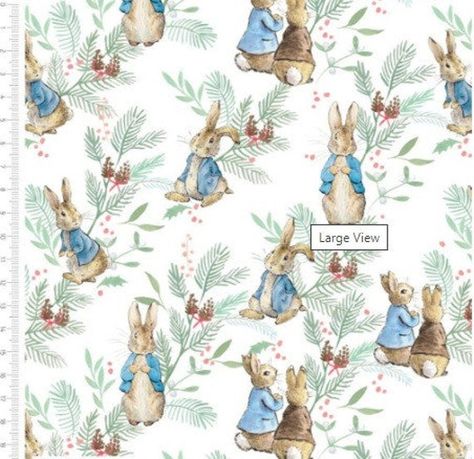 Peter rabbit party