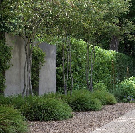 Hakonechloa Macra, Evergreen Landscape, French Gardens, Gray Gardens, Small Courtyard Gardens, North Garden, Paradise Garden, Garden Entrance, Family Garden