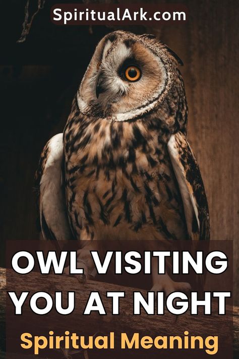 at the top of this post is the website source which is "SpiritualArk.com", at the center is a photo of an owl sitting on a branch of tree and looks like patiently waiting during the nighttime, and at the bottom of this post is a big semi-transparent rectangle which contains the title that says, "owl visiting you at night, spiritual meaning" Owl Spirit Animal Meaning, Animal Totem Spirit Guides, Owl Symbolism, Spirit Animal Meaning, Night Meaning, Animal Meanings, Spiritual Animal, Cultural Beliefs, Alchemy Symbols