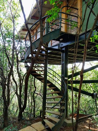 Machan Ideas, Forest Resort Ideas, Tree House Resort, Resort Ideas, Forest Resort, Resort Cabins, Treehouse Hotel, Romantic Resorts, Eco System