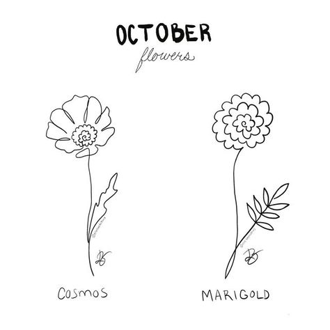 One Line Cosmos Flower, Single Line Marigold Tattoo, Marigold Line Tattoo, October Tattoo Ideas Birth Month, October Birth Tattoo Ideas, October Flowers Tattoo, October Flower Tattoo Birth Month, Cosmos Flower Tattoo October, October Birthday Tattoo