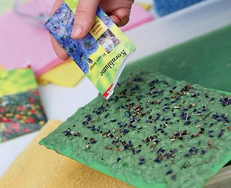 Seed Starter, Kits For Kids, Paper Projects, Horticulture, Diy Paper, Diy Kits, Diy And Crafts, Kindergarten, Recycling