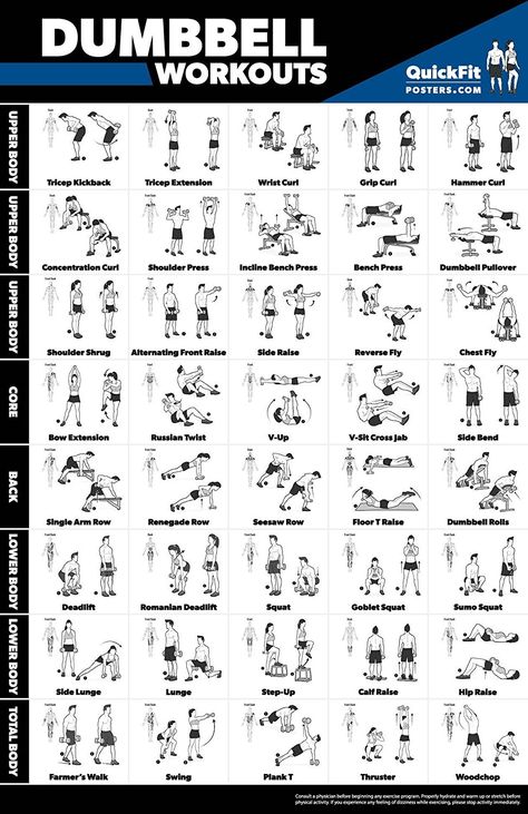 Dumbbell Workout Routine, Exercise Poster, Free Weight Workout, Chest Workout Women, Dumbbell Workout At Home, Weight Lifting Routine, Workout Man, Full Body Dumbbell Workout, Arm Workout Women