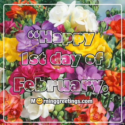 40 Happy February Morning Quotes, Wishes Images - Morning Greetings – Morning Quotes And Wishes Images Happy February 1st Images, Good Morning February 1st, Happy February 1st Quotes, Hello February Images, 1st February Quotes, Happy February 1st, February Images, Hello February Quotes, Welcome February