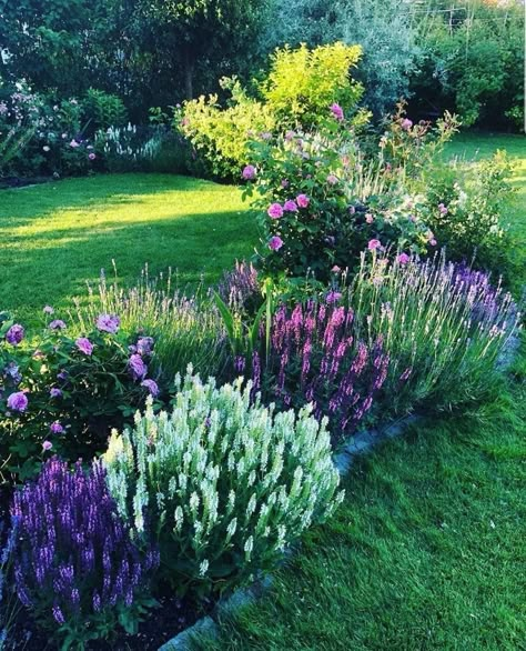 Purple And White Landscaping Front Yards, Simple Landscaping Ideas, Vintage Decorating Ideas, Cheap Landscaping, House Front Yard, Dream Garden Backyards, Garden River, Rustic Garden Ideas, Simple Landscaping