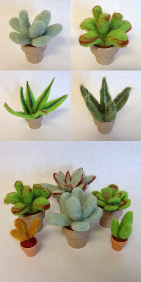 Felted Succulents, Cactus Craft, Felt Succulents, Needle Felting Diy, Wool Needle Felting, Needle Felting Tutorials, Bird's Eye View, Diy Felt, Needle Felting Projects