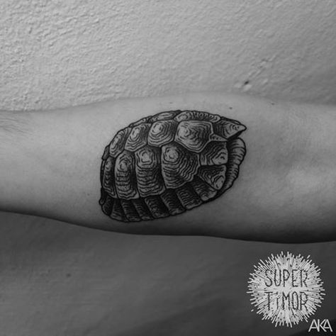 Cool turtle tatt by Super Timor! Gopher Tortoise Tattoo, Box Turtle Tattoo, Tortoise Tattoo, Shell Tattoo, Shell Tattoos, Box Turtle, Turtle Tattoo, Tattoo Sleeve, Line Tattoos