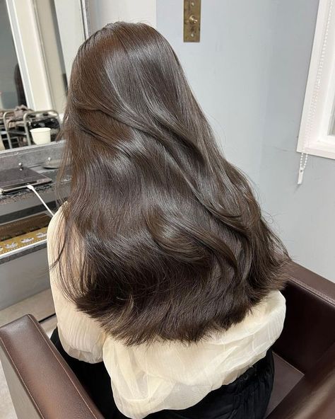 Do you wish you had perfect hair? check this link Glossy Long Hair, Thick Glossy Hair, Healthy Glossy Hair, Good Hair Aesthetic, Korean Healthy Hair, Long Glossy Hair, Dr Hair Claim, Korean Dark Brown Hair, Wonyoungism Hair