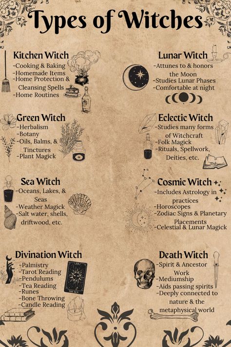 A book page titled “Types of Witches” with the labels, Kitchen Witches, Green Witches, Sea Witches, Divination Witches, Lunar Witches, Cosmic Witches, Eclectic Witches, and Death Witches and the tools each of them use such as baking for kitchen witches, plants and herbs for green witches, sea or lake water and shells for sea witches, tarot or other forms of divination for divining witches, moon phases for lunar witches, astrology and horoscopes for cosmic witches, and mediumship in death witches Zodia Pești, Types Of Witches, Witch Wardrobe, Witchcraft Herbs, Lunar Witch, Witch Room, Magia Das Ervas, Witch Things, Witchcraft Books