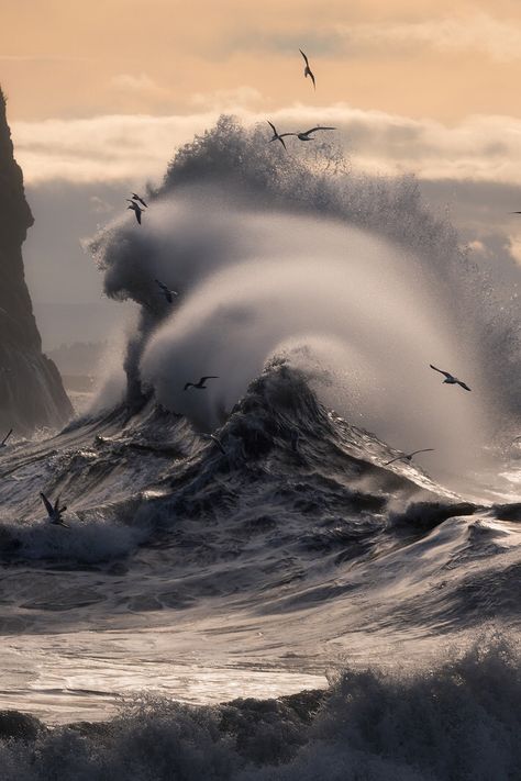 Even when the sea is angry, I'd still choose to be there Goddess Of The Sea, In The Ocean, Sea And Ocean, Ocean Life, Ocean Beach, Ocean Waves, Amazing Nature, Beautiful World, Wonders Of The World