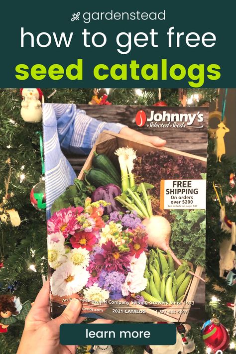 Heirloom Seeds Companies, Saving Seeds From Vegetables, Heirloom Seeds Catalog, Saving Seeds, Plant Store, Vintage Seed Packets, Garden Catalogs, Toy Catalogs, Rare Seeds