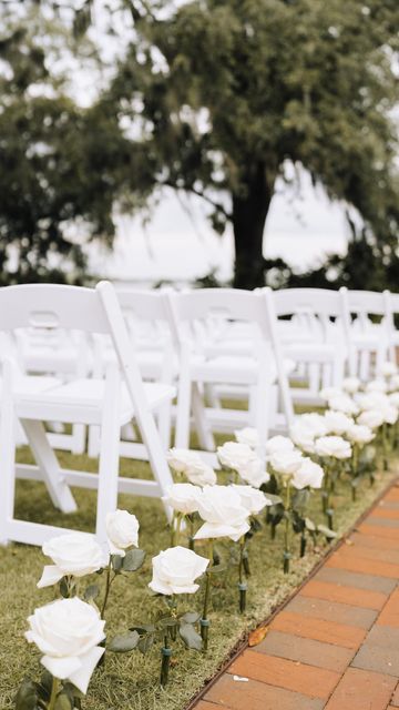 @uli.and.co on Instagram: "Rose garden aisle are dreamy ✨" White Rose Asile, White Rose Wedding Aisle Decor, Roses Down The Aisle Wedding, White Rose Aisle, Rose Aisle, Roses Lining Aisle, 2024 Wedding, Rose Garden, Roses