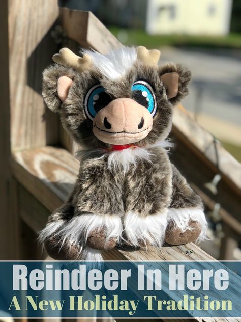 Reindeer In Here - A New Holiday Tradition ⋆ The Stuff of Success Reindeer In Here Ideas, Reindeer In Here, Christmas Widgets, Christmas Christian, Christian Holidays, Boys Gift, Aesthetic Christmas, Celebrity Portraits, Reindeer Christmas