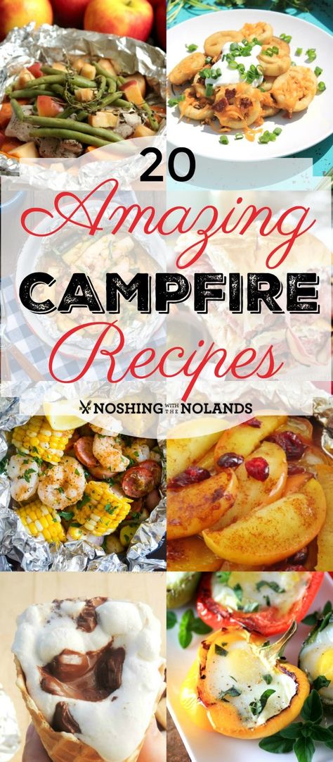 20 Amazing Campfire Recipes from Noshing With The Nolands will get you excited about the great outdoors even if it's just your own backyard! Camp Recipes, Camping Foods, Foil Dinners, Camping Desserts, Campfire Recipes, Camping Food Ideas, Camping Breakfast, Camping Dinners, Foil Packet