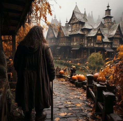 Rubeus Hagrid, Hp Harry Potter, Harry Potter Scene, Harry Potter Images, Magic Forest, Witch Magic, Harry Potter Wallpaper, Harry Potter Books, Harry Potter Aesthetic