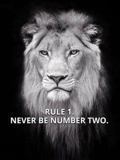 Leo Quotes, Lion Quotes, Leo Traits, Coban, Top Quotes, Warrior Quotes, Short Inspirational Quotes, Badass Quotes, A Lion