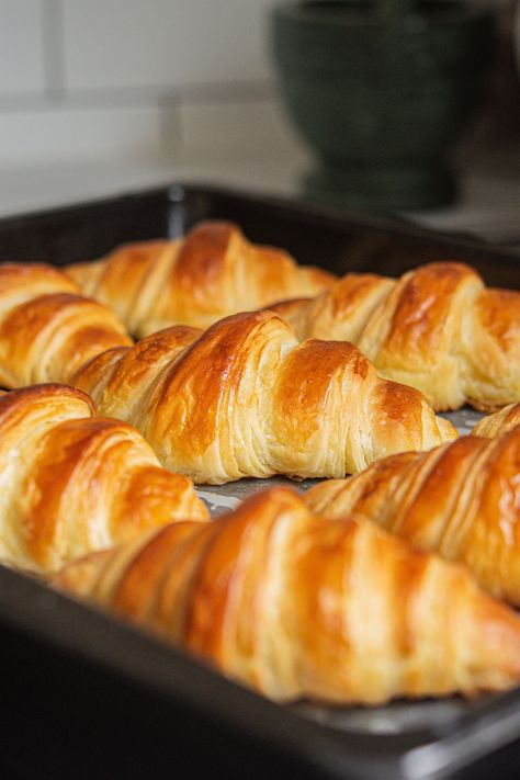 Homemade croissants require a bit of patience and precision but this detailed recipe will walk you through each step so you can make them successfully at home. They’re flaky, buttery and oh-so-delicious. Croissant From Puff Pastry, Homemade Crossant Recipes, Homemade Crasaunts, Homemade Crossiant Rolls, Diy Croissants Recipes, Flaky Croissant Recipe, How To Make Crossiants, Home Made Croissants, Homemade Croissants Recipe