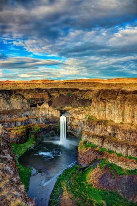 Palouse Falls, Washington United States Palouse Falls, Fall Portraits, Water Falls, Beautiful Waterfalls, America The Beautiful, Pretty Places, Places Around The World, Washington State, Places I Want To Go