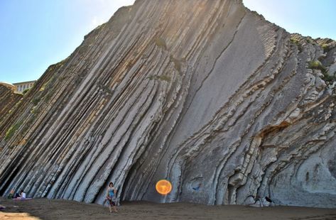 Mountain Building, Rock Layers, Species Extinction, Shallow Water, Geology Rocks, Sedimentary Rocks, Plate Tectonics, Marine Environment, Deciduous Trees