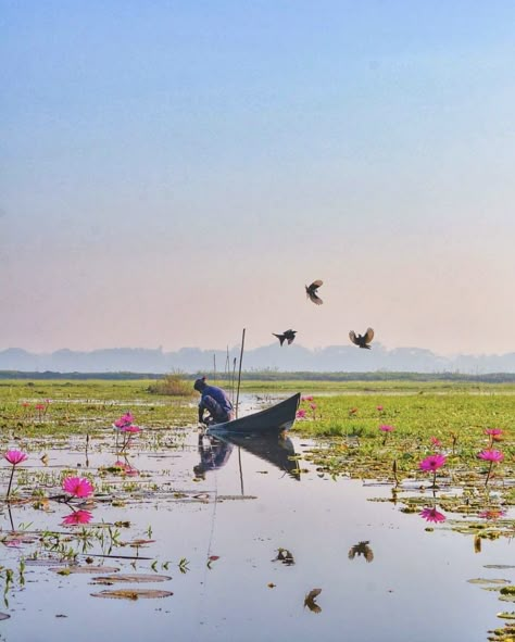 Bangladesh Photography, Bangladesh Village Painting, Beauty Of Bangladesh, Nature Of Bangladesh, Buddha Painting Canvas, Kaptai Lake Bangladesh, Vietnam Art, Sunset Nature, Dslr Background Images