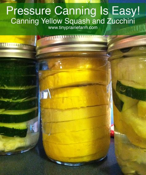 Pressure Canned Squash...wonder if this will work with spaghetti squash??? Pressure Canning Squash, Canning Yellow Squash, Canning Squash, Canning Zucchini, Canned Zucchini, Canned Squash, Homestead Cooking, Squash And Zucchini, Food Planning