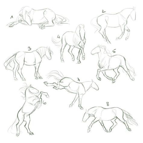 How To Draw Horses, Horse Base, Horse Drawing Tutorial, Horse Art Drawing, Horse Sketch, Horse Anatomy, Animal Drawings Sketches, Horse Drawing, Horse Drawings