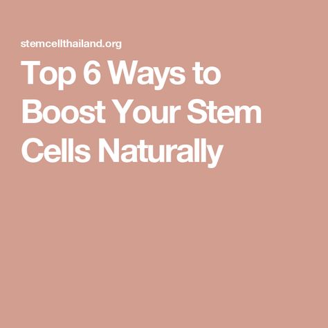 Top 6 Ways to Boost Your Stem Cells Naturally Preventive Medicine, Cell Growth, Turmeric Curcumin, Bone Marrow, Fatty Fish, Growth Factor, Respiratory System, Stem Cells, Blood Vessels