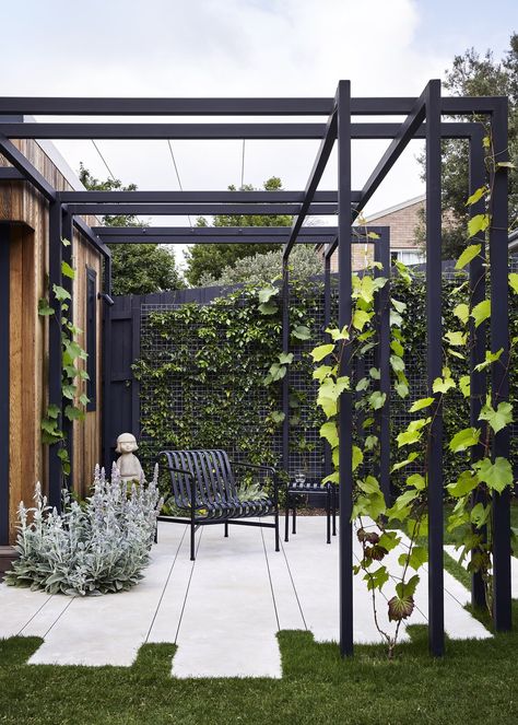 Poured Concrete Patio, Melbourne House, Most Beautiful Gardens, Have Inspiration, Pergola Patio, Concrete Patio, Back Garden, Backyard Design, Front Garden