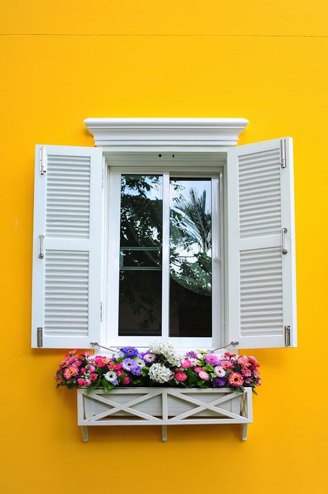 Before purchasing a window box make sure you weigh the pros and cons of window box materials. Ultimately, choosing a window box is based on your personal preference, but there are a few materials that won’t do well in certain regions. Here are types of window boxes to consider and their pros and cons. Architecture Windows, Gable Window, Window Box Garden, Metal Windows, Window Architecture, Box Window, Steel Windows, Best Windows, Beautiful Windows