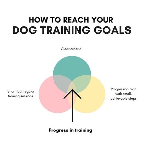 𝗝𝗲𝘀𝘀𝗶𝗲 | 𝗗𝗲𝘁𝗲𝗰𝘁𝗶𝗼𝗻 𝗗𝗼𝗴 𝗧𝗿𝗮𝗶𝗻𝗶𝗻𝗴 (@3canines.training) • Instagram-Fotos und -Videos Dog Training Template, Igp Dog Training, Dog Training Buttons, Say It Once Dog Training, Dog Education, Training Reactive Dogs, Detection Dogs, Dog Trainer, Dog Training