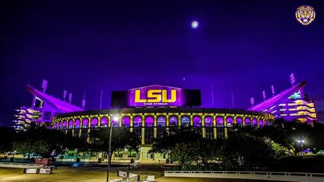 Lsu Aesthetic, Lsu Stadium, Lsu Gymnastics, Lsu College, Lsu Game, Tiger Stadium, Lsu Tigers Football, Lsu Football, Gymnastics Training