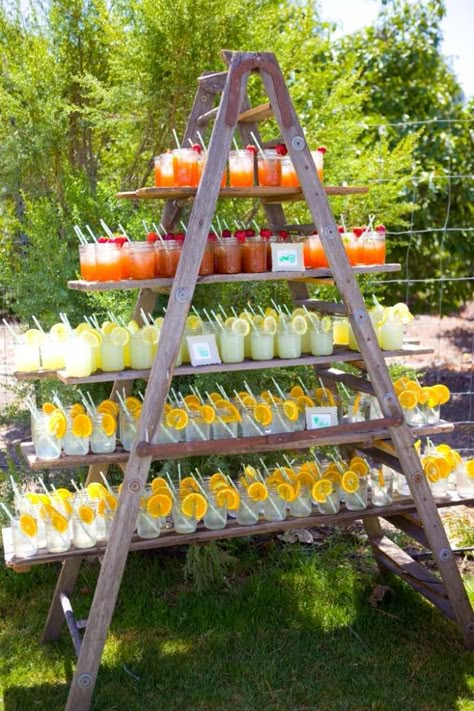 Gorgeous Food & Drink Station Ideas - Mygreekitchen Wedding Drink Station, Rustic Wedding Decorations, Rustic Fall Wedding, Drink Station, Wedding Drink, Wedding Cocktails, בר מצווה, Shoe Lace, Romantic Weddings