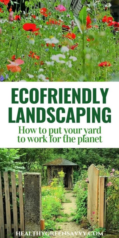 Eco Friendly Landscape Design, Low Maintenance Acreage Landscaping, Nature Friendly Garden Ideas, Nature Friendly Garden, Natural Yards Ideas, Sustainable Yard Ideas, Sustainable Backyard Landscaping, How To Naturalize Your Yard, Herbal Garden Design Landscapes