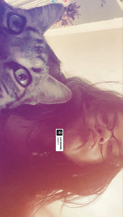 Cat Insta Story, 2014 Filter, Cat Song, Instagram Story App, Aesthetic Filter, Aesthetic Picture, Instagram Filter, Digital Diary, Insta Story